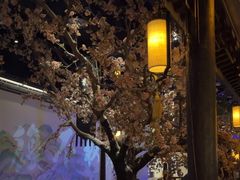 -绿茶餐厅(朝阳大悦城店)