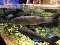 -成都浩海立方海洋公园