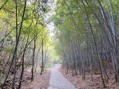 -穹窿山景区