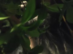 -唐宫足道·SPA·住宿24H会所(木渎店)