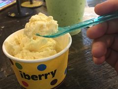 -莓园冰淇淋店