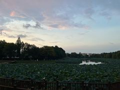 -四季轩中餐厅(徐州开元名都大酒店)