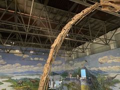 -自贡恐龙博物馆