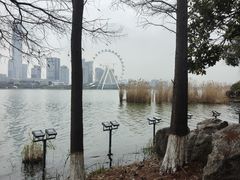 -金鸡湖桃花岛