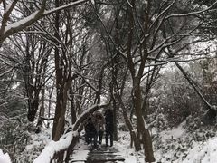 -咸宁太乙国际温泉度假村