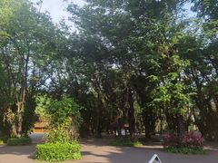 -中国科学院西双版纳热带植物园