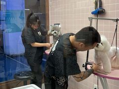 -FAELING PETS美天灵宠物(富力广场店)