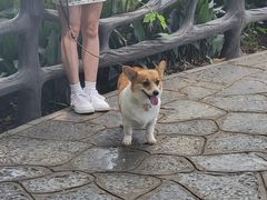 -桂林两江四湖景区