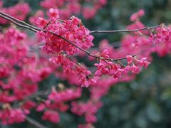 -乌山风景区
