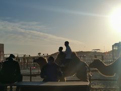 -库伦旗银沙湾旅游景区