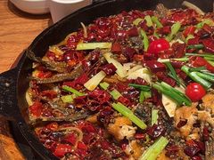 -老板恋上鱼(恒隆广场店)