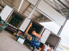 -东方鼎信农副产品交易中心