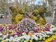 -上海共青森林公园