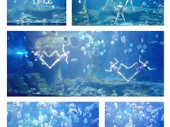 -多彩贵州城极地海洋世界