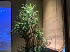 -若水云栖·足疗·按摩·SPA(城阳万达广场店)