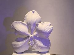 -涨巢·潮玩水疗局