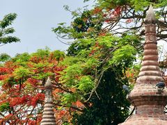 -一寨两国风景区