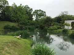 -扬州大运河文化旅游度假区·盆景园