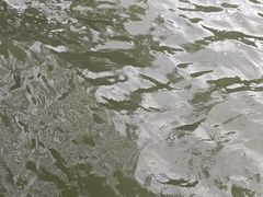 -西湖游船
