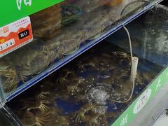-阳澄湖大闸蟹·琼灵阁牌品牌连锁(吴中总店)