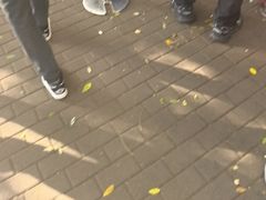 -清真·白记年糕(牛街北口店)