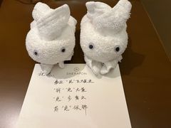 -杭州西溪喜来登度假大酒店