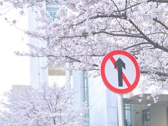-复旦大学光华楼