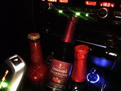 -枫花园汽车电影院(朝阳公园店)