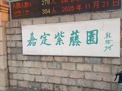 -嘉定紫藤园