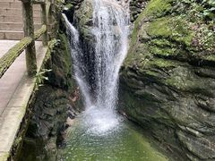 -牛背梁国家森林公园