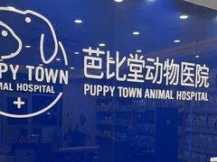 -芭比堂动物医院·24小时·眼科中心(深圳中心)