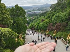 -庐山风景名胜区-东林大佛