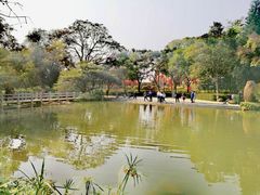-云溪植物园