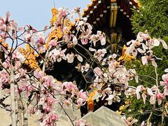 -东华门大街小区