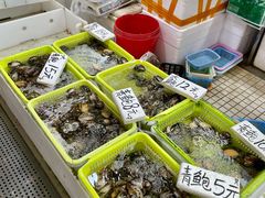 -蛇口市场