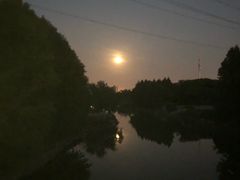 -九里河湿地公园