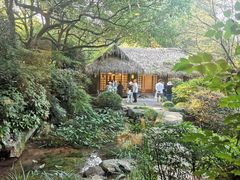 -中国茶叶博物馆(双峰馆区)