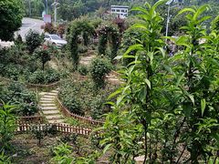 -正宗火盆自助烧烤·烤全羊·柴火鸡(龙泉山店)