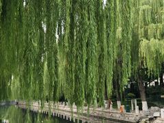 -环城公园