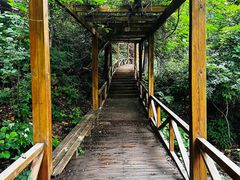 -大岭沟猕猴桃谷风景区