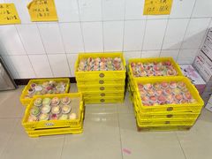 -老袁家蜜桃农场·阳山水蜜桃