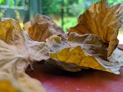 -维乐口腔医院(星海湾分院)