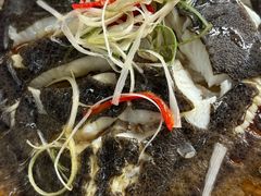 -坛南湾阿强农家乐.海鲜大排档老字号(福州地标美食店)