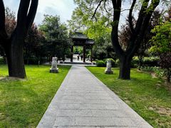 -迎泽公园