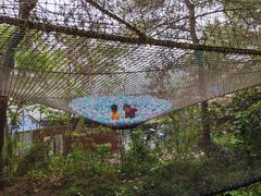 -芦仙山景区-飞越丛林探险乐园