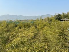 -陶祖圣境风景区