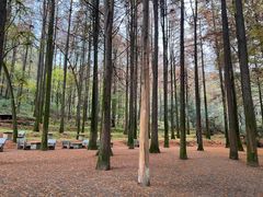 -波尔登森林公园