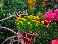 -人民公园(罗湖区)