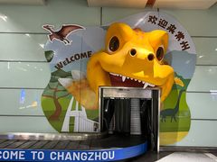 -常州奔牛国际机场