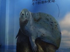 -锦艺城海洋馆